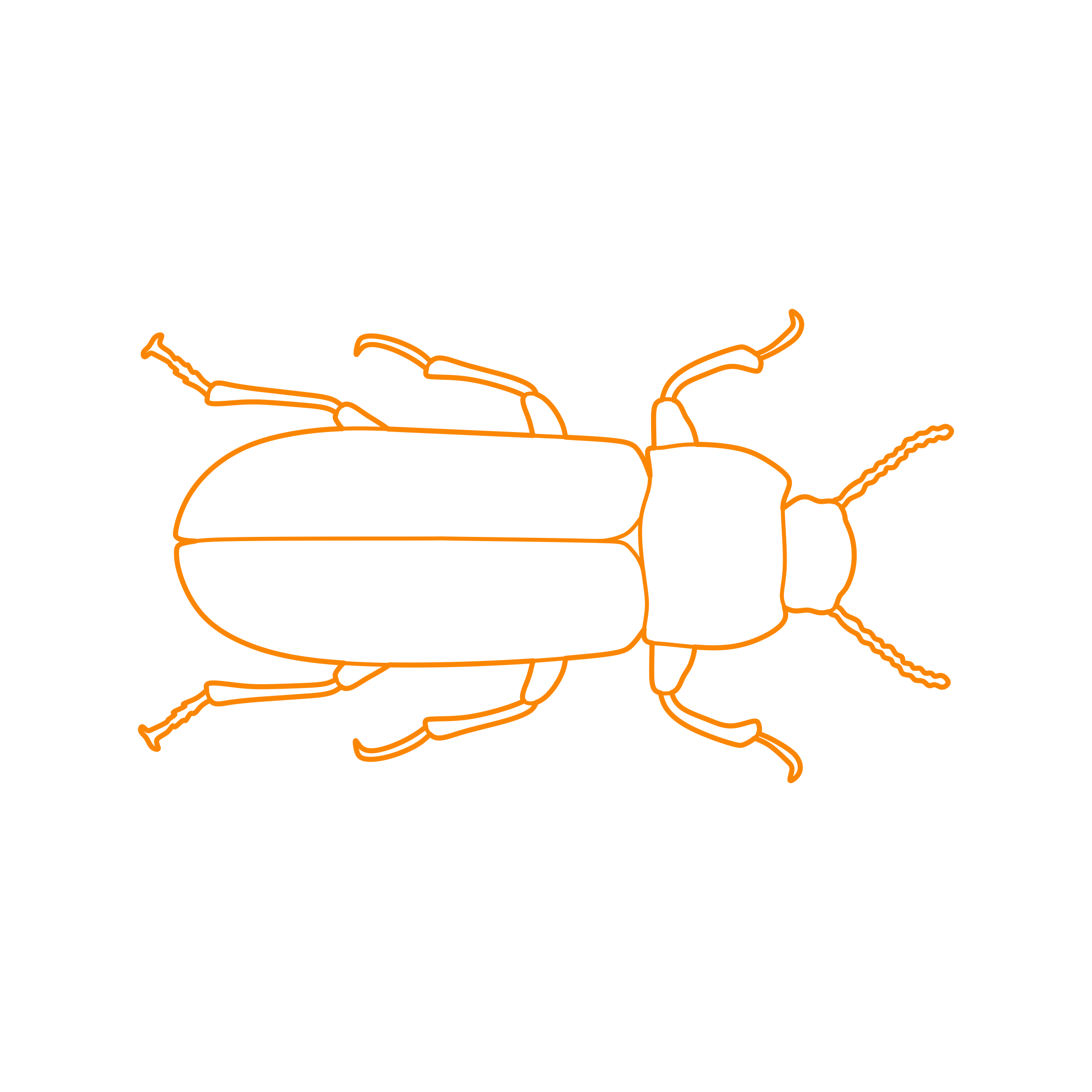 Animals Insects Mealworm Beetle Vinyl Svg File Free Vectors